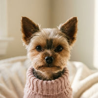 Peanut