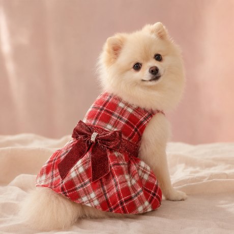 Pomeranian in the plaid bow dress